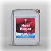 Hesi Boost