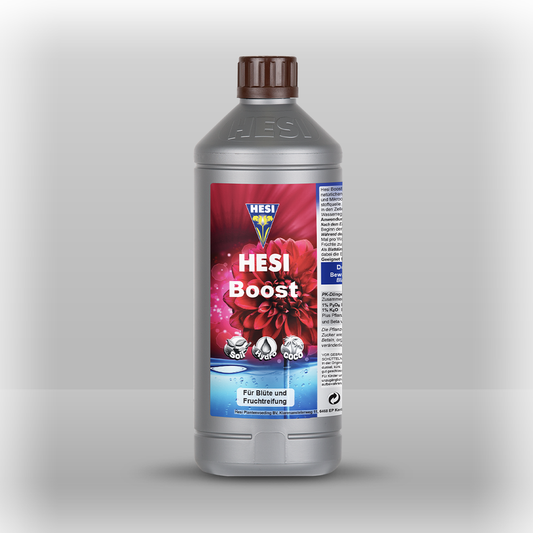 Hesi Boost