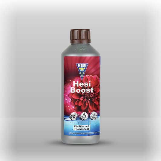 Hesi Boost
