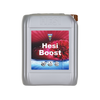 Hesi Boost