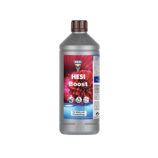 Hesi Boost