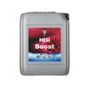 Hesi Boost