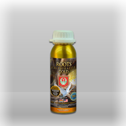 Roots Excelurator Gold 250m L