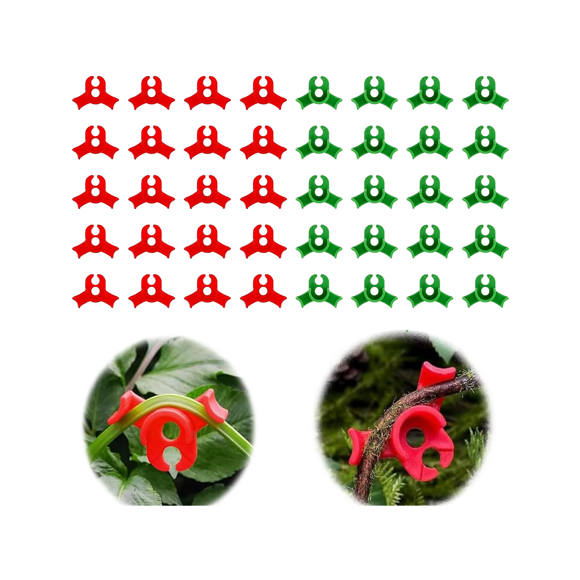 Pflanzenclips (40 Stück) – Grün