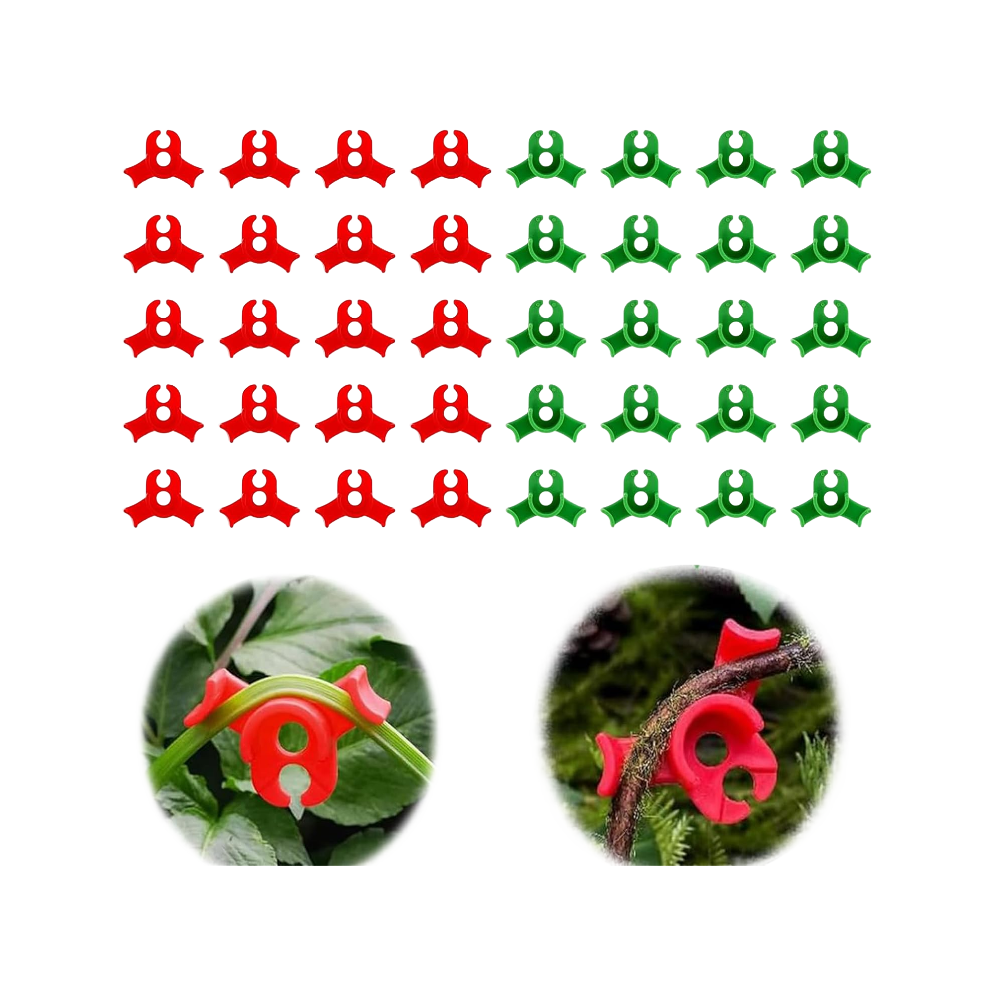 Pflanzenclips (40 Stück) – Grün