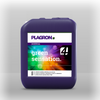 Plagron green sensation