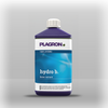 Plagron hydro B