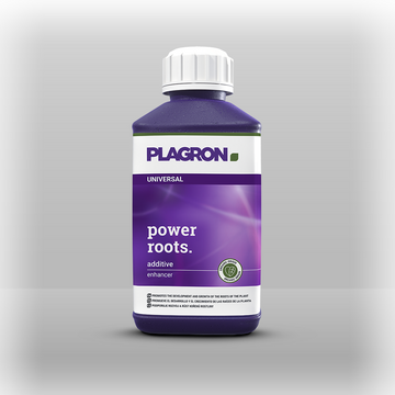 Plagron power roots 250ml
