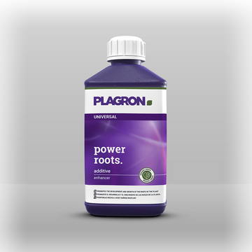 Plagron power roots 500ml