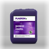 Plagron power roots