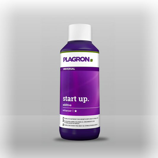Start Up