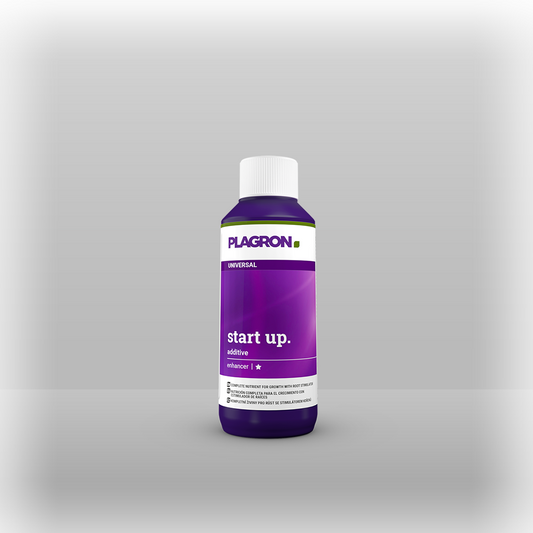Start Up 100 ml