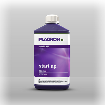 Start Up 1l