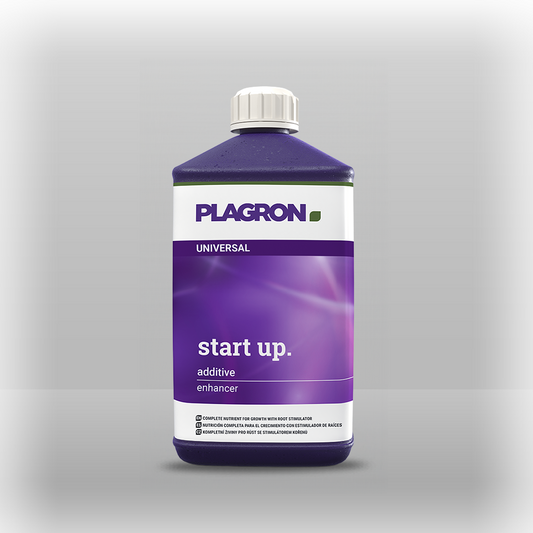 Start Up