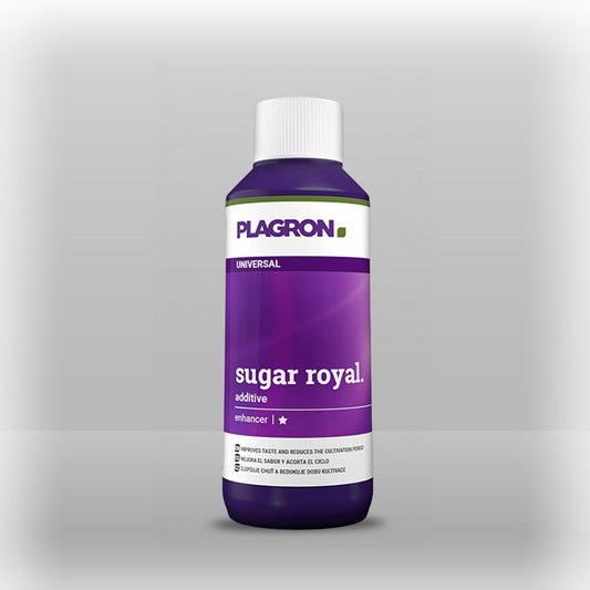 Plagron sugar royal