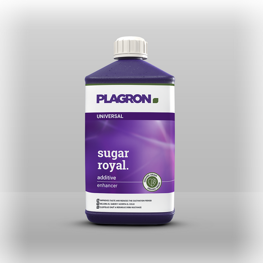 Plagron sugar royal 1L