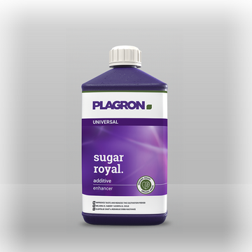 Plagron sugar royal
