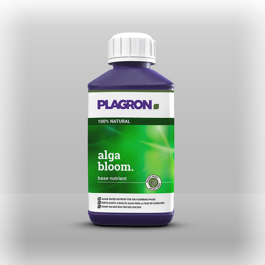 Plagron alga bloom 250ml