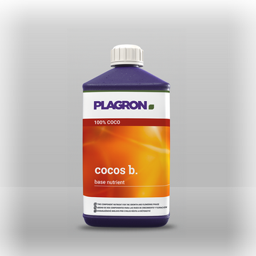 Plagron cocos B