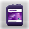 Plagron power buds