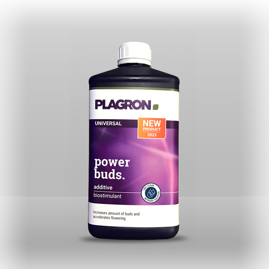 Plagron power buds