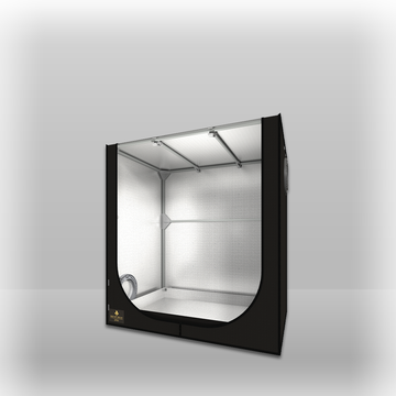 Secret Jardin Dark Propagator 90 × 60 × 98 cm