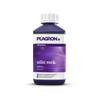 Plagron Silic Rock