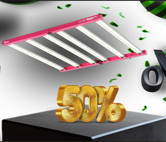 Solux Aurora Pro 720W