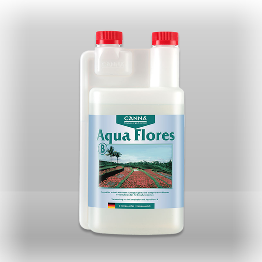 Canna Aqua Flores B