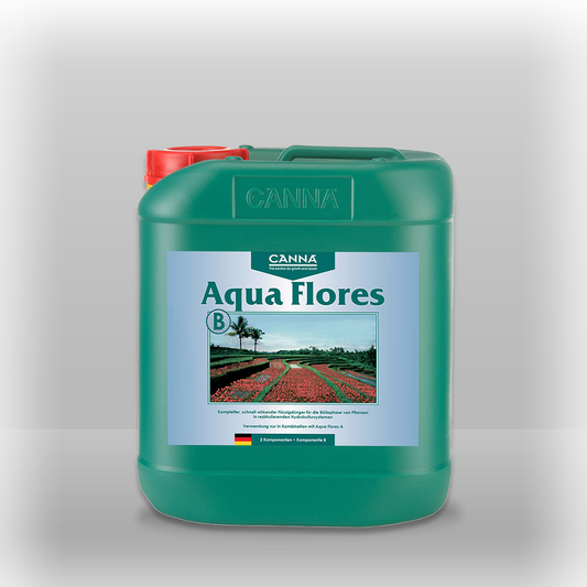 Canna Aqua Flores B