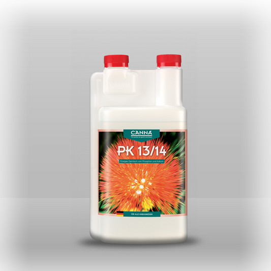 Canna PK 13-14