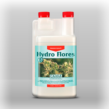 Canna Hydro Flores B