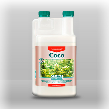 Canna Coco B
