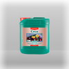 Canna Coco A