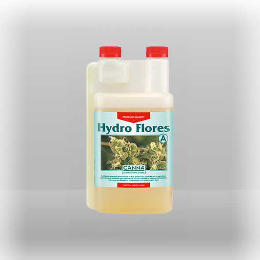 Canna Hydro Flores A